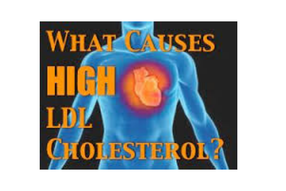 High LDL Cholesterol Canva